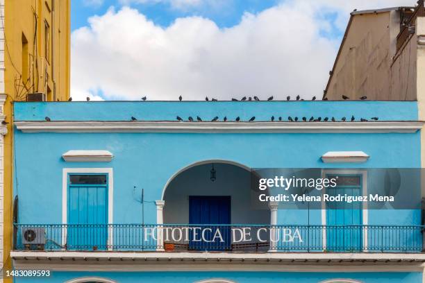 daily life in havana, cuba - havana door stock pictures, royalty-free photos & images