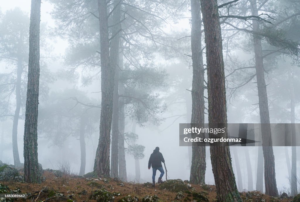 Man walking at foggy forest in the morning