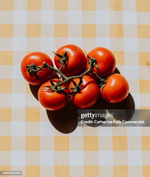 bright, graphic, simple image of fresh, juicy tomatoes casting a harsh shadow on a yellow checkered table cloth - food dressing stock pictures, royalty-free photos & images