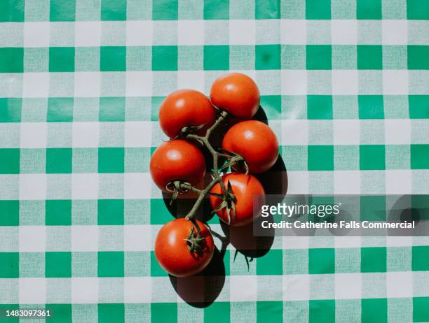 bright, graphic, simple image of fresh, juicy tomatoes casting a harsh shadow on a green checkered table cloth - tomate stock pictures, royalty-free photos & images