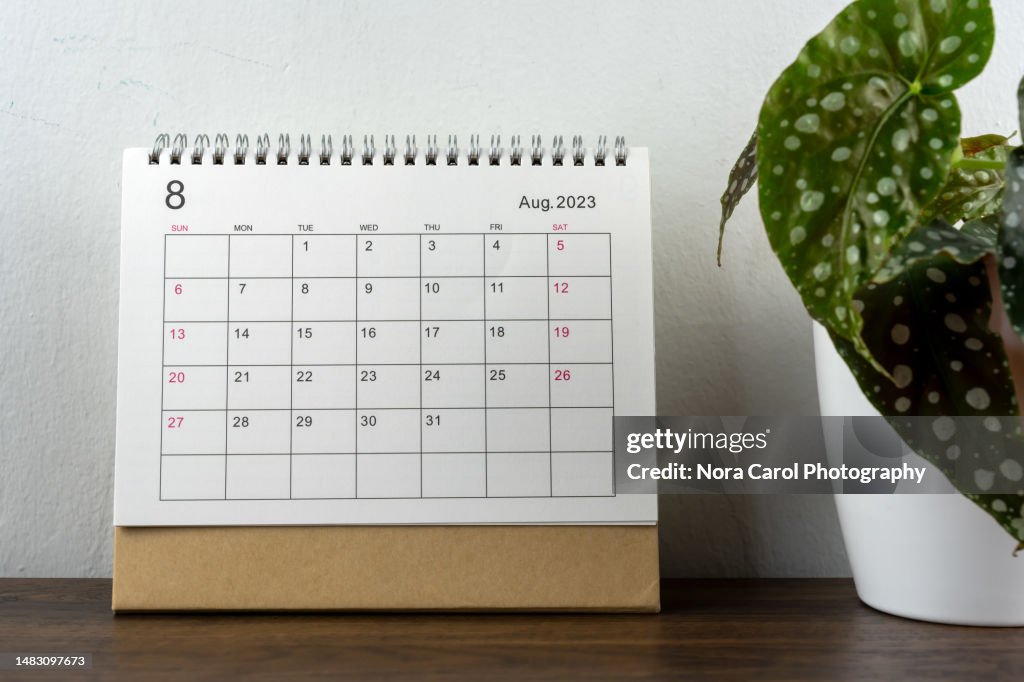 August 2023 Desk Calendar with Potted Plant