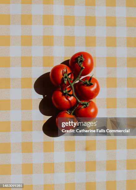 bright, graphic, simple image of fresh, juicy tomatoes casting a harsh shadow on a yellow checkered table cloth - tomatensoße stock-fotos und bilder