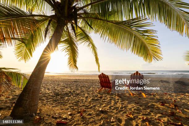 two red chairs under a palm tree as the sun rises in the distance. - san jose costa rica stock-fotos und bilder