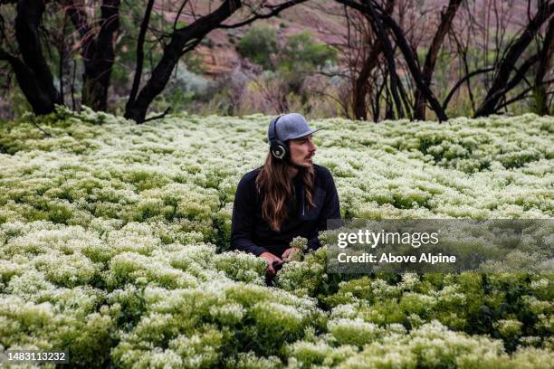 hombre sentado en un campo de flores creatividad escuchando música en auriculares - spring equinox fotografías e imágenes de stock