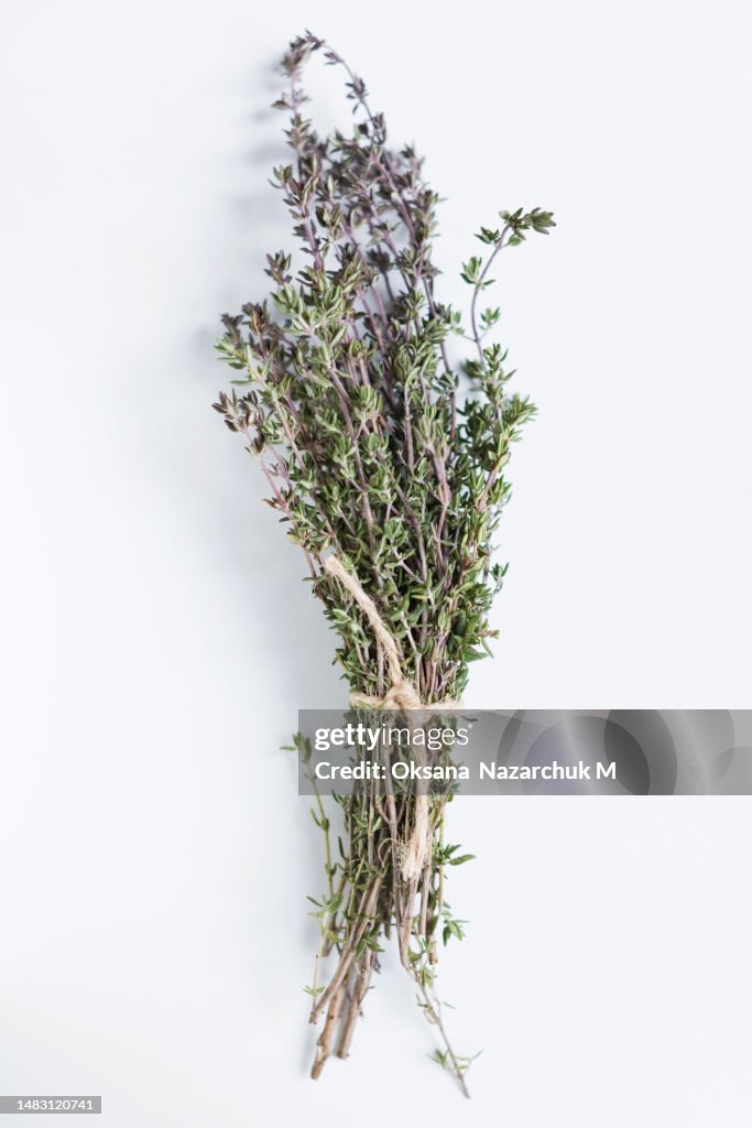 Fresh thyme bunch tied with string
