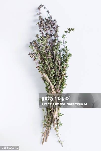fresh thyme bunch tied with string - thyme stock pictures, royalty-free photos & images