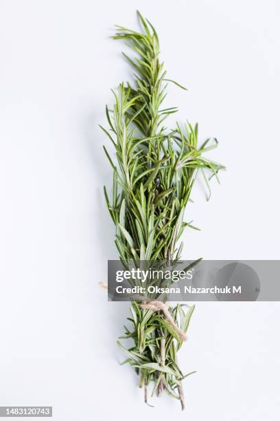 fresh rosemary bunch tied with string - alecrim imagens e fotografias de stock