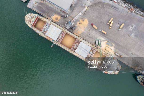 loading grain into sea cargo vessel in commercial port. - freight truck loading stock pictures, royalty-free photos & images