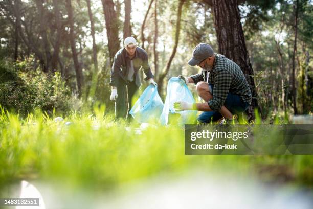 polluted forest. group of volunteers collecting rubbish in the forest, plastic containers, bottles in their bag - gestão de resíduos imagens e fotografias de stock