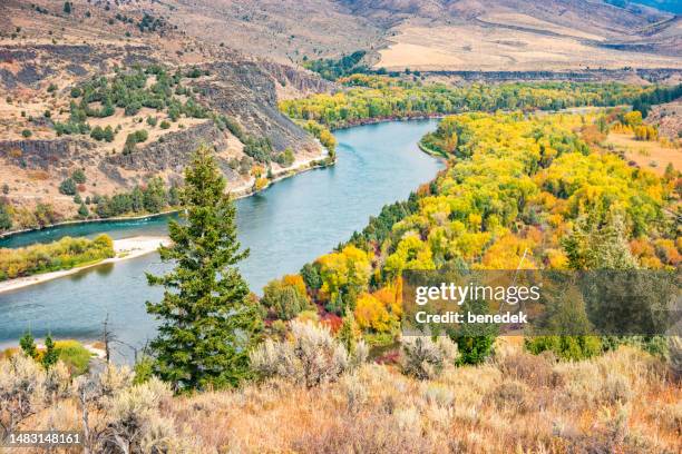 snake river swan valley idaho usa herbstfarben - snake river tal stock-fotos und bilder