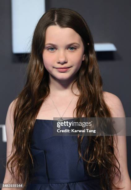 Springall 104 Springall Stock Photos, High-Res Pictures, and Images - Getty Images