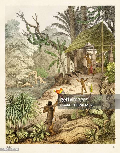 scene in the brazilian jungle chromolithograph 1868 - brazilian ethnicity stock illustrations