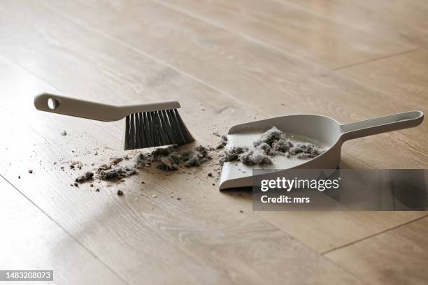 sweeping dust with a broom on a dustpan - dirty pan stock pictures, royalty-free photos & images