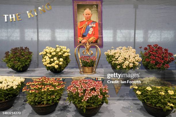 Picture of King Charles III hands over a floral display during staging day preparation for the Spring Flower Show on April 19, 2023 in Harrogate,...