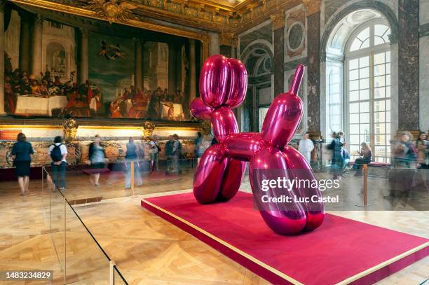 Jeff Koons Versailles 29 Salon D Hercule Stock Photos, High-Res Pictures, and Images - Getty ...