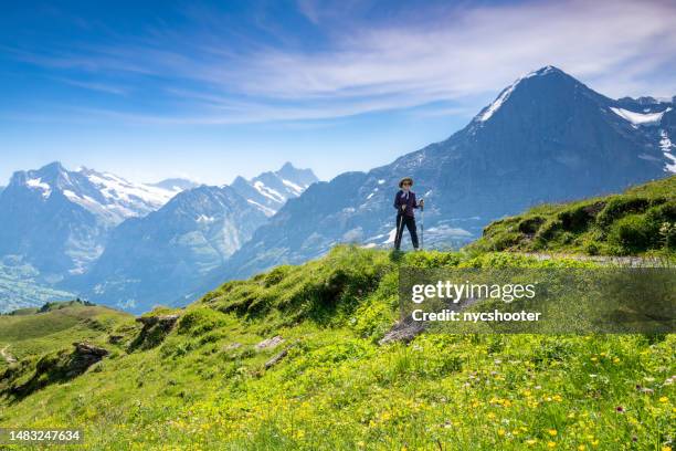 switzerland travel - hiking the swiss alps in the jungfrau region. - eiger mönch jungfrau stockfoto's en -beelden