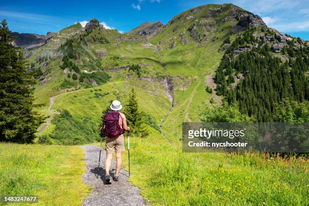 switzerland travel - woman hiking through the mountain view trail in the swiss alps in the jungfrau region. - jungfraujoch stockfoto's en -beelden