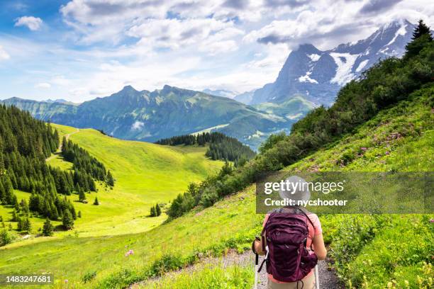 switzerland travel - woman hiking through the mountain view trail in the swiss alps in the jungfrau region. - bucket list stock pictures, royalty-free photos & images