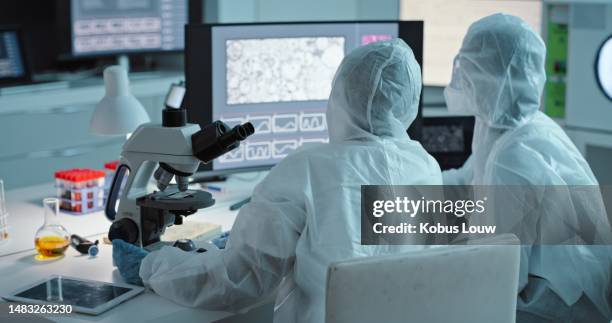 collaboration, science and computer with a doctor women team in a laboratory for covid research in ppe uniform. teamwork, innovation and experiment with scientist females working together in a lab - covid 19 south africa stock pictures, royalty-free photos & images
