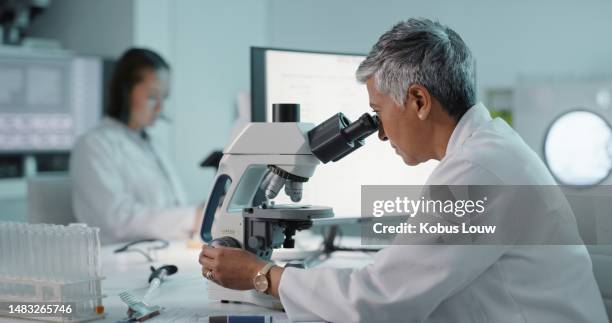 senior woman, microscope and lab analysis for medical research with particles, molecule and focus at job. female scientist, tools and study in laboratory with bacteria sample for chemistry innovation - drugs stock pictures, royalty-free photos & images