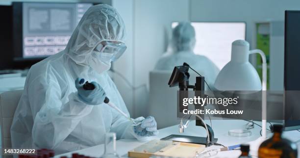 covid, research and scientist in a hazmat suit using a micropipette in a lab or laboratory doing analysis on a sample. protection, science and person working on medical test in protective uniform - hazardous substances stock pictures, royalty-free photos & images