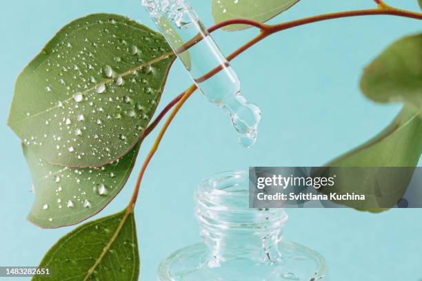 natural, organic, bio cosmetics from herbs and plants - eucalyptus background stock pictures, royalty-free photos & images