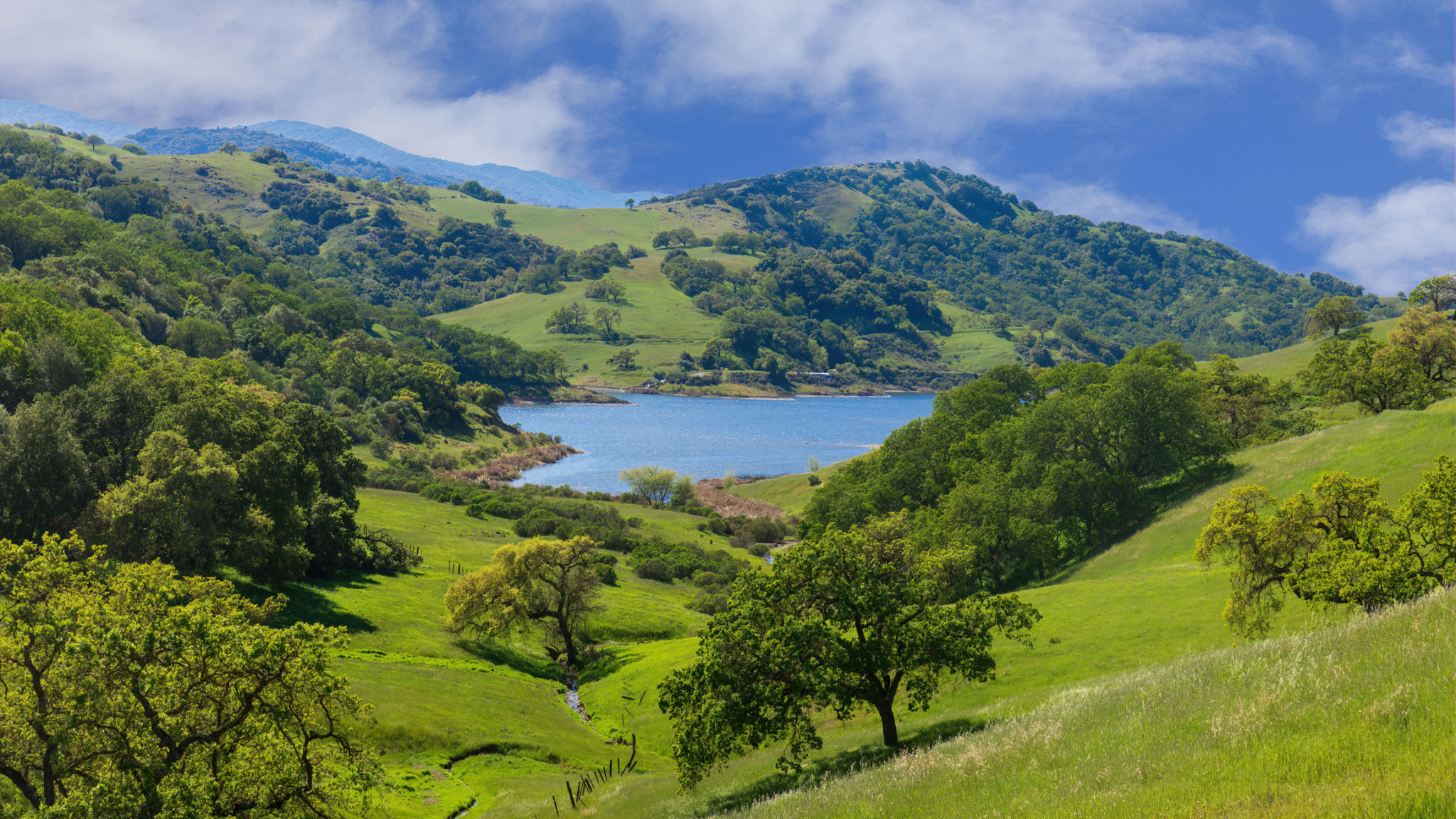 san jose summer