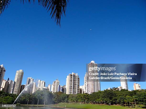 vaca brava park - goiania fotografías e imágenes de stock