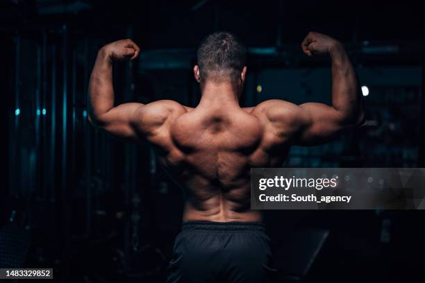 strong body builder showing muscles - posterior view of arm muscles stock pictures, royalty-free photos & images