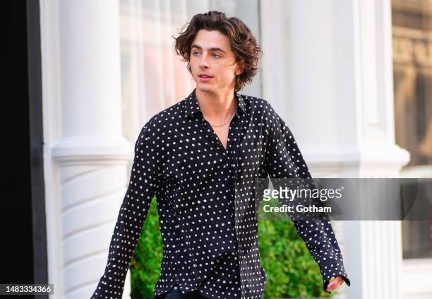 Timothee Chalamet is seen in NoHo on April 19, 2023 in New York City.