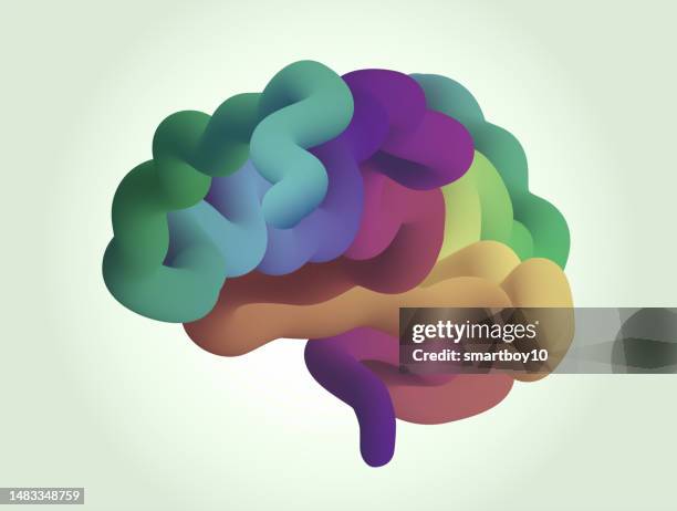 ilustraciones, imágenes clip art, dibujos animados e iconos de stock de cerebro humano estilizado - cerebro