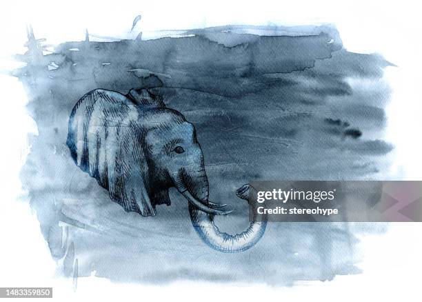 elephant on grey - python stock illustrations