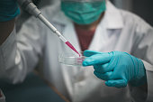 Closeup shot of a medical researcher using a micropipette to add drops of developed red drug liquid 
in testing the biological activity with culture cells in a laboratory.
