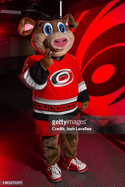 Carolina Hurricanes mascot Stormy arrives prior to Game Two of the First Round of the 2023 Stanley Cup Playoffs against the New York Islanders at PNC...