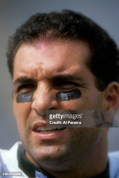 Quarterback Vinny Testaverde of the New York Jets follows the action in the game between the New England Patriots vs the New York Jets at The...
