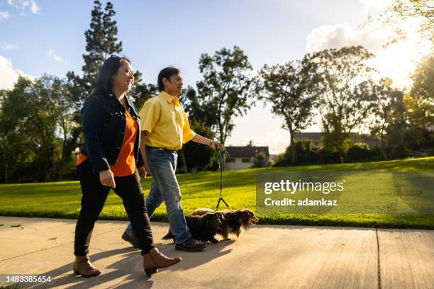 mature asian couple walking dachshund dogs at sunset in the park - philippines friends stock pictures, royalty-free photos & images