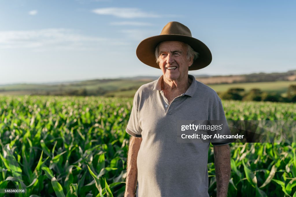 Agricultor em plantação de milho
