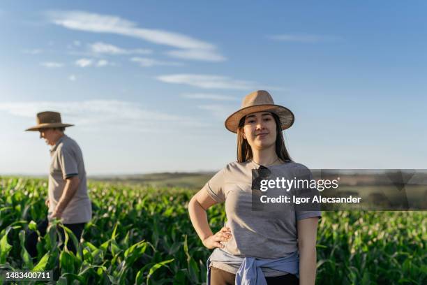 agricultora en el campo de maíz - agrónomo fotografías e imágenes de stock