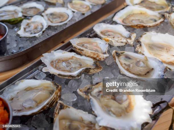 raw oysters in portland, maine - portland maine imagens e fotografias de stock