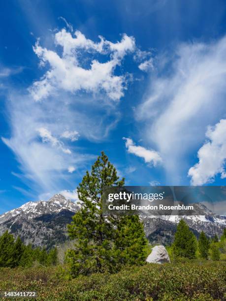 trail to taggart lake in grand teton national park - taggart lake trail stock pictures, royalty-free photos & images