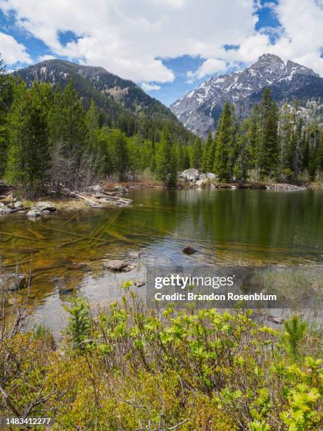 taggart lake in grand teton national park - taggart lake trail stock pictures, royalty-free photos & images