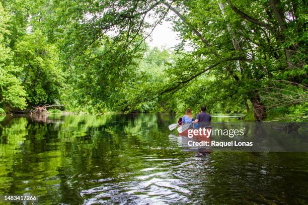 two people in canoe on tree-lined river with overhanging branches and reflections - overhangend stockfoto's en -beelden