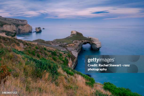 tunnel beach dunedin - dunedin stock pictures, royalty-free photos & images