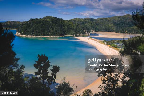 abel tasman hike new zealand - abel tasman national park stock pictures, royalty-free photos & images