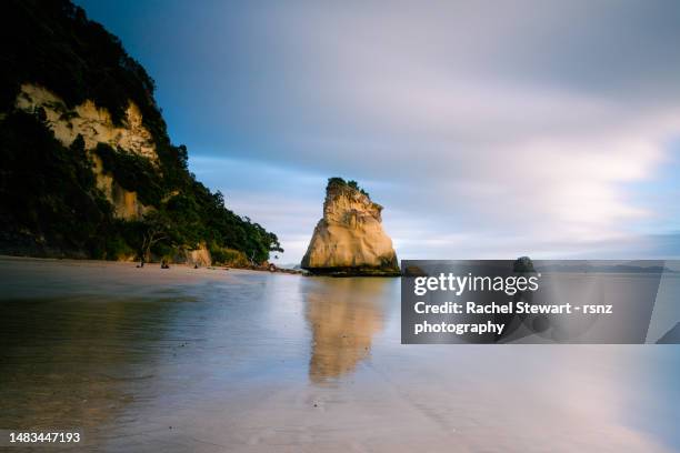 te hoho rock cathedral cove coromandel - halbinsel coromandel peninsula stock-fotos und bilder