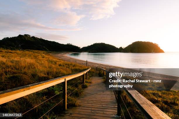 matapouri beach northland new zealand - whangarei heads stockfoto's en -beelden