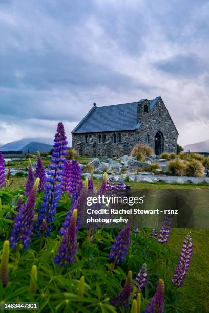 church of the good shepherd lake tekapo new zealand - church of the good shepherd tekapo stock pictures, royalty-free photos & images