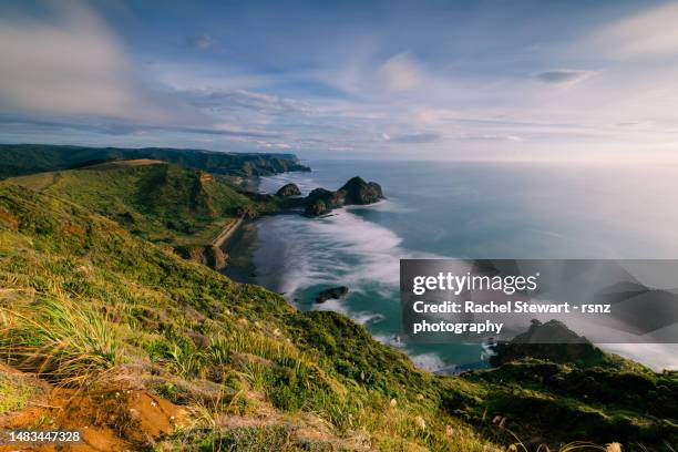 Henga 282 Te Henga (Bethells Beach) Stock Photos, High-Res Pictures, and ...