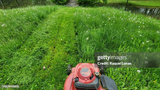 push mower cutting very long grass. job partially complete. - cortar relva imagens e fotografias de stock