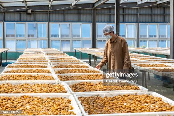a female worker works in a food processing factory - gedroogd fruit stockfoto's en -beelden